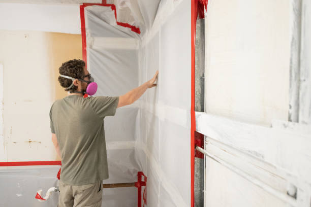 Best Post-Construction Mold Inspection  in Whiskey Creek, FL