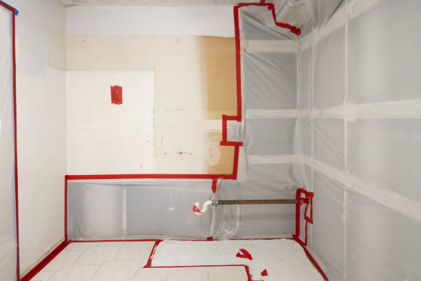 Best Real Estate Mold Inspection  in Whiskey Creek, FL