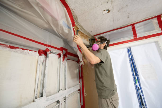 Forensic Mold Investigation in Whiskey Creek, FL