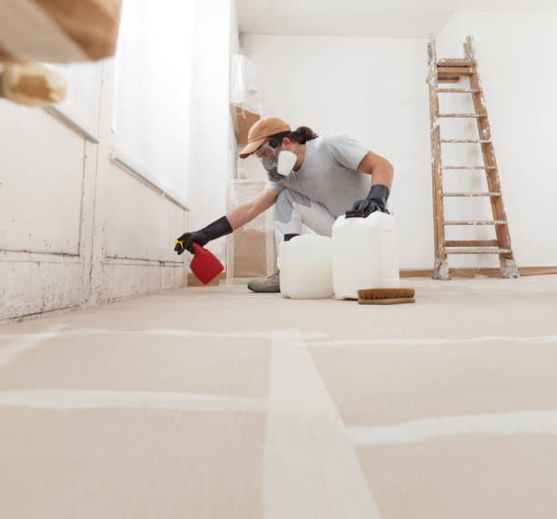 Best Crawl Space Mold Remediation  in Whiskey Creek, FL