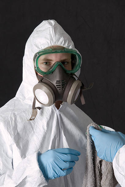 Mold Removal for HVAC Installations in Whiskey Creek, FL